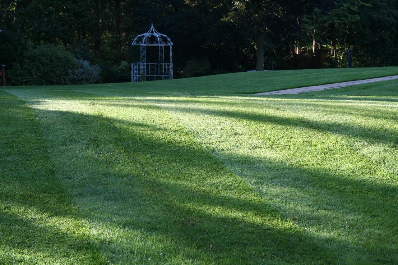 Planning the shape of your lawn