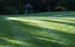 Planning the shape of your lawn