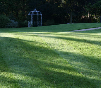Planning the shape of your lawn