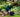 Welcome to RHS Wisley: Jamie Butterworth reports on his first few weeks as a student