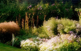 Garden Ideas:  A Garden Style from ‘The Garden of England’