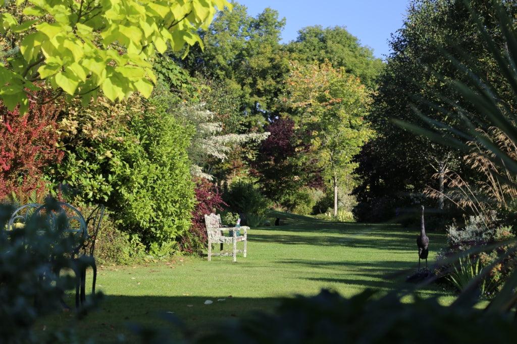 What to plant in Autumn?  Trees & Shrubs