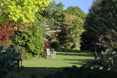 What to plant in Autumn?  Trees & Shrubs