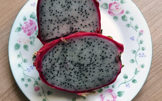 Veganuary – where do you go now?
