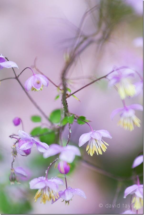 5 Tips to Get the Best Out of Your Canon EOS Camera