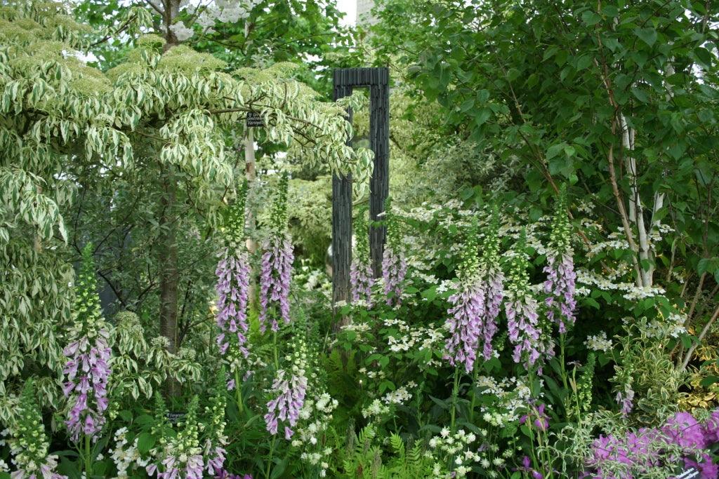 Chelsea Flower Show, and ten risks worth taking in the garden