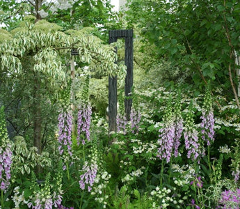 Chelsea Flower Show, and ten risks worth taking in the garden