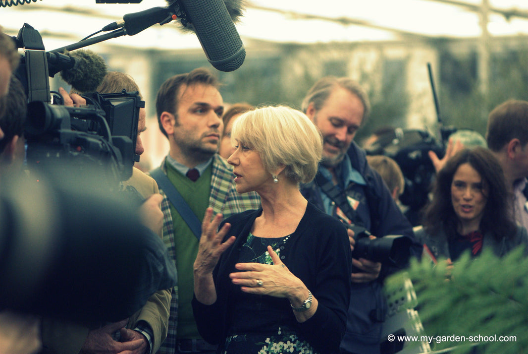 The Chelsea Flower Show Celebrities; People or Plants?