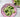 The side salad revamp