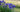 Top 10 Later Summer Gardening Jobs