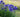 Top 10 Later Summer Gardening Jobs