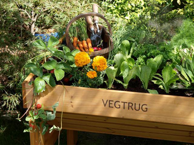 Get an early start with Veggies &ndash; VegTrug: a great way to grow