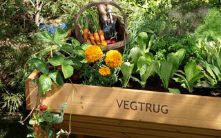 Get an early start with Veggies &ndash; VegTrug: a great way to grow