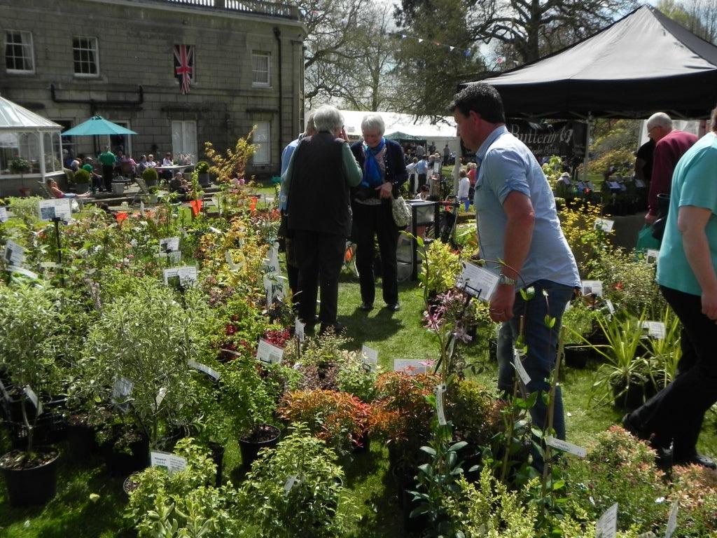 Fair Trade: The Great British Plant Fair
