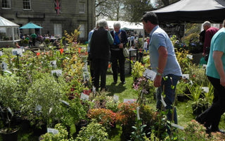 Fair Trade: The Great British Plant Fair