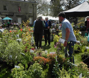 Fair Trade: The Great British Plant Fair