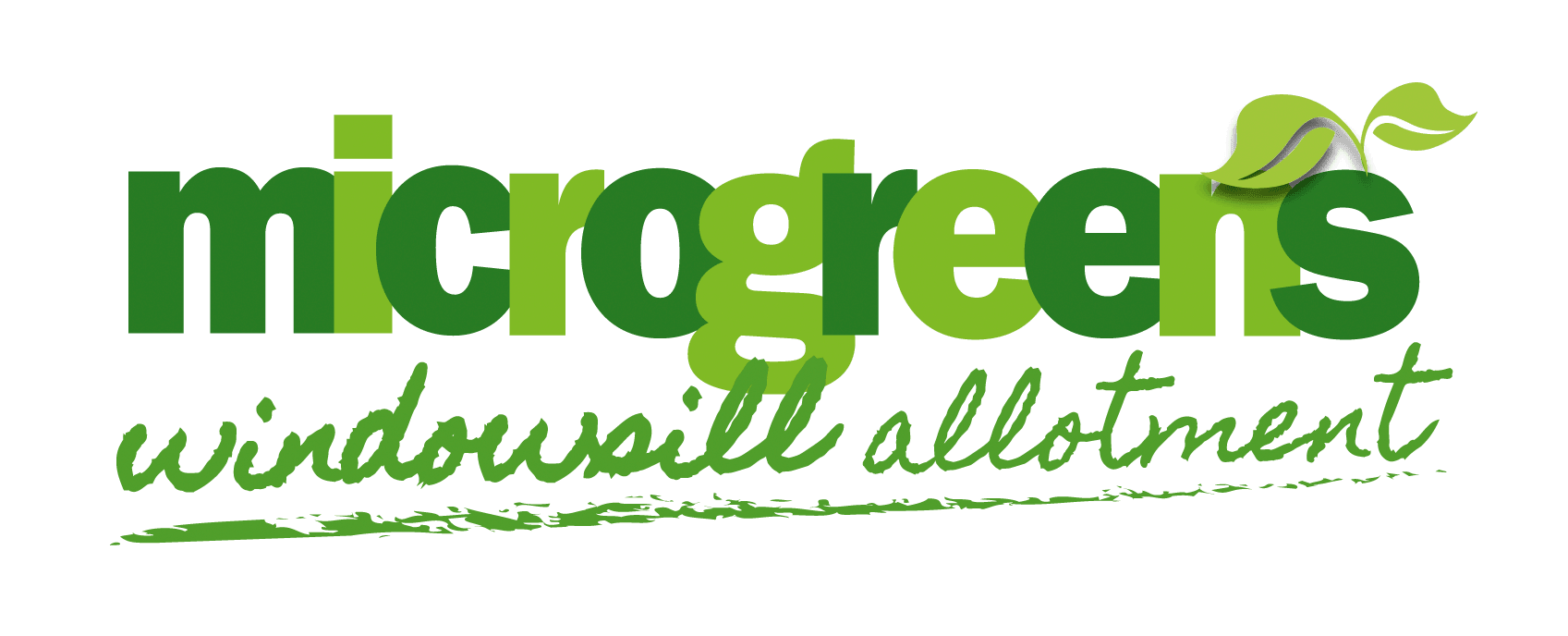 Microgreens &ndash; Growing vegetables on your windowsill