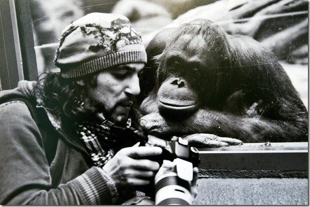 Weekend Assignment: No Chimping!