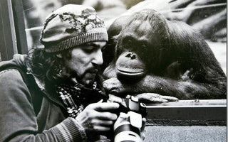 Weekend Assignment: No Chimping!