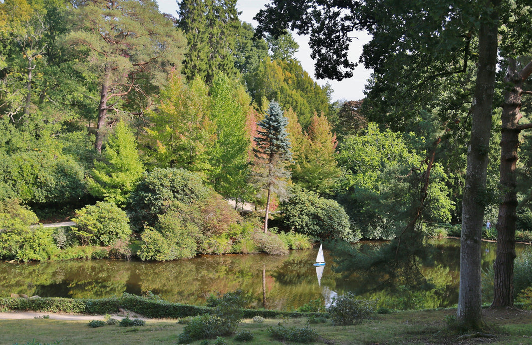 Leonardslee – The reawakening of a garden