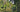 Leonardslee – The reawakening of a garden