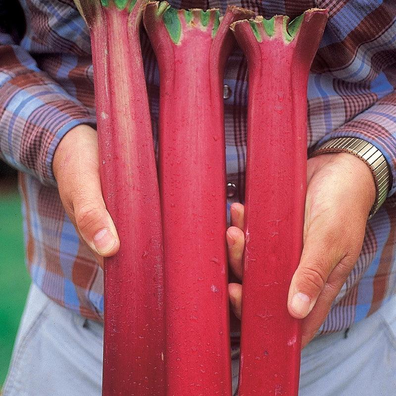 Valentine&rsquo;s Day Gifts for Gardeners