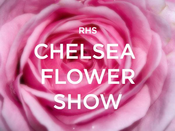 Chelsea Flower Show 2011