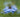 5 Tips For Fine Art Flower Photography