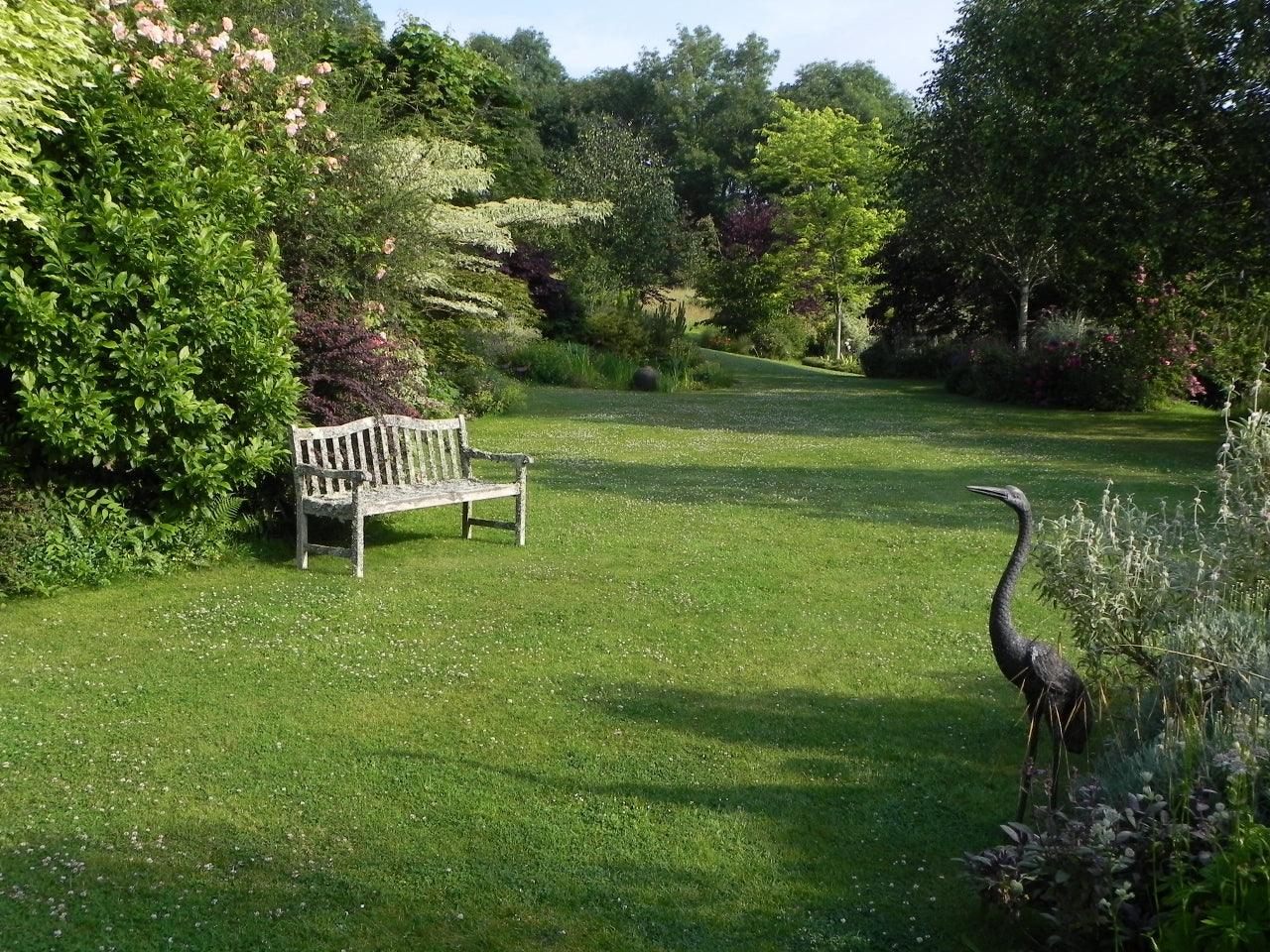 How to Feed Your Lawn Organically