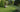 How to Feed Your Lawn Organically