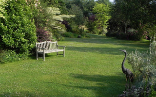 How to Feed Your Lawn Organically