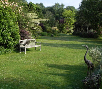 How to Feed Your Lawn Organically