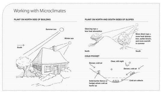Microclimates: How To Change Your Garden's Climate – Learning with Experts