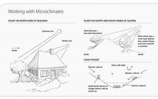 Microclimates: How To Change Your Garden's Climate