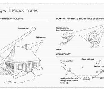 Microclimates: How To Change Your Garden's Climate
