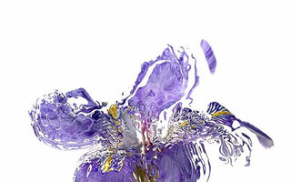 The Pros & Cons of Manual Focussing