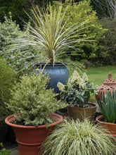 Is this pot frost proof?