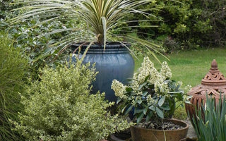 Is this pot frost proof?