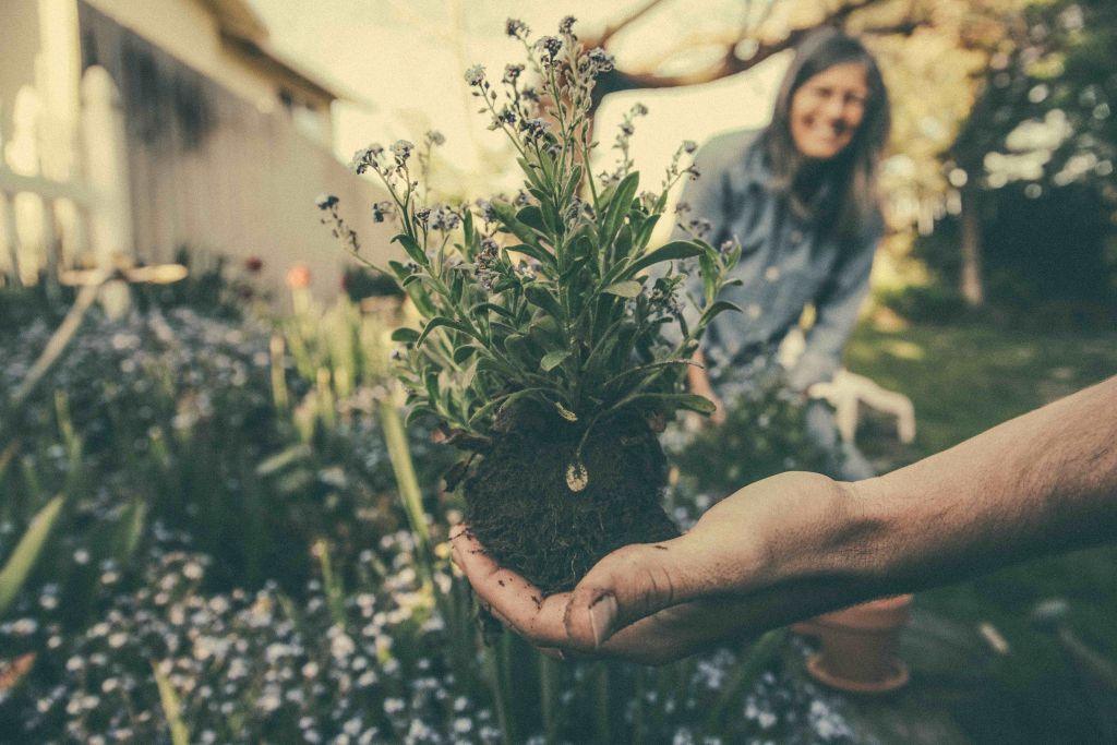 Sow the seeds for a fresh career this New Year