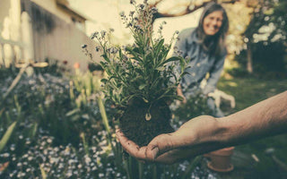 Sow the seeds for a fresh career this New Year