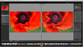 Adobe Lightroom: A Beginners Guide