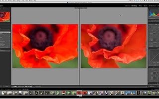 Adobe Lightroom: A Beginners Guide