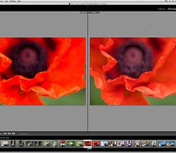 Adobe Lightroom: A Beginners Guide
