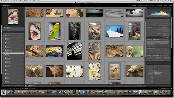How-to: View Raw Files in Windows