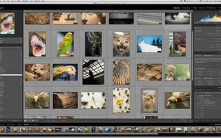 How-to: View Raw Files in Windows