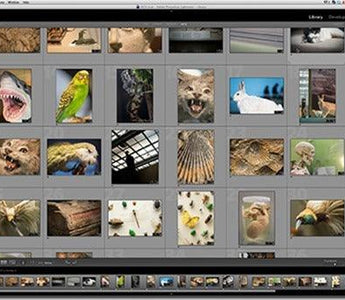 How-to: View Raw Files in Windows