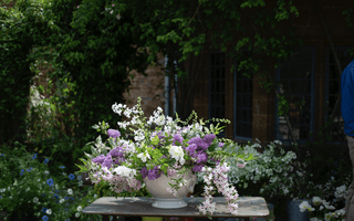 Bonus lesson released: The Art of Environmental Floristry