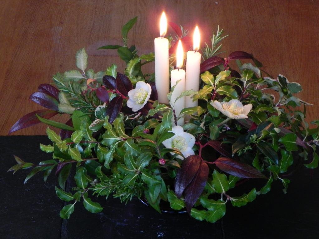 Top Ten Shrubs for Flower Arranging in Winter