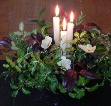 Top Ten Shrubs for Flower Arranging in Winter
