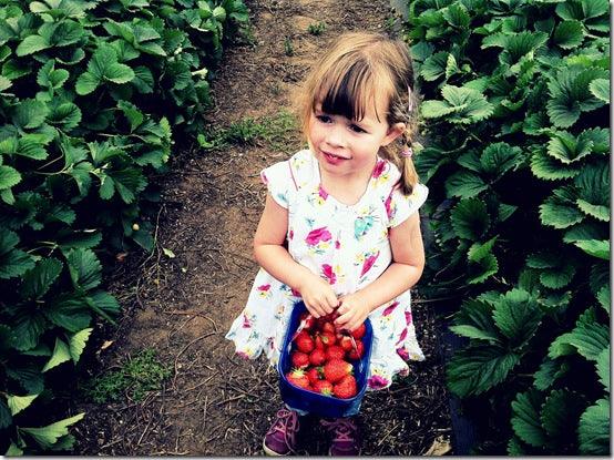 Top Ten Safety Tips for Gardening with Children